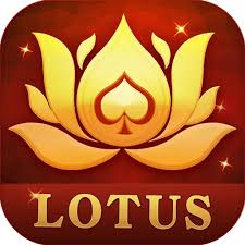 teen patti king dhani download